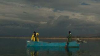 Πίσω από τις Θημωνιές