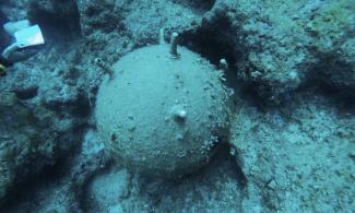 Καβάλα: Σε κατάσταση εκτεταμένης οξείδωσης, βρέθηκε αντιαρματική νάρκη, 25 μέτρα από την ακτή της παραλίας της Κάρυανης