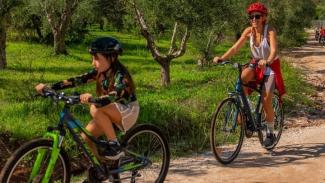 Πιλοτικά προγράμματα