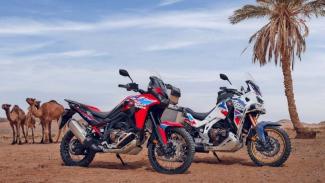 σκληροτράχηλη off-road