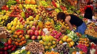 εξαγωγές φρούτων