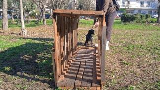 πάρκο σκύλων