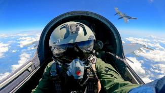 πιλοτος_αμνα