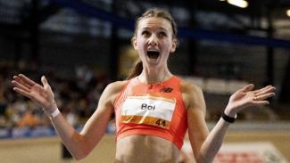 Φέμκε Μπολ_ΑΜΝΑ