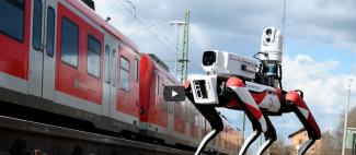 σκύλος ρομπότ