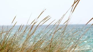 καταδυτικο τουρισμο