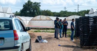 ΔΟΛΟΦΟΝΙΑ ΑΙΓΥΠΤΙΟΥ.