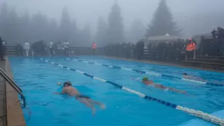 iceswimming