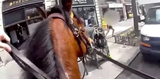 Νέα Υόρκη 