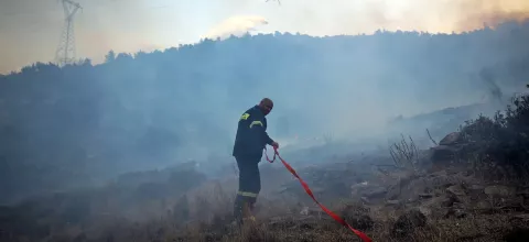 Πυρκαγιά τώρα στη Φυλή, κοντά στο γήπεδο του Θρασύβουλου -Επιχειρούν και εναέρια μέσα