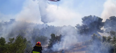 ΑΣΤΥΝΟΜΙΚΟΣ