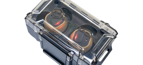 Ωτοασπίδες