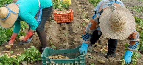 Επιθεώρηση Εργασίας