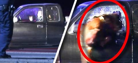 Αστυνομικός σκύλος Κ-9 στην Καλιφόρνια πήδηξε μέσα από το παράθυρο αυτοκινήτου αναγκάζοντας ύποπτο να βγει και να παραδοθεί
