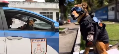 Ο «influencer» σκύλος της αστυνομίας του Ρίο - Έχει στολή, «γαλόνια» και πάνω από 120.000 followers 