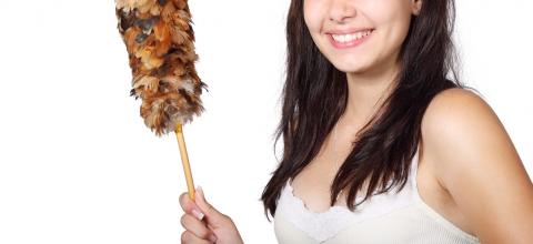 οικιακη βοηθος