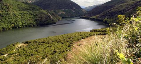 ΑΛΙΑΚΜΟΝΑΣ ΠΟΤΑΜΙ