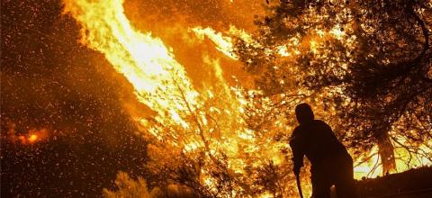 Μεγάλη φωτιά στα Ψαχνά Ευβοίας -Επί τόπου ισχυρές δυνάμεις της πυροσβεστικής
