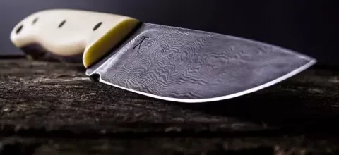 Γερμανία: Δεκάχρονος επιτίθεται στην αστυνομία με μαχαίρι