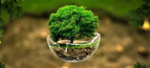 πράσινων τεχνολογιών