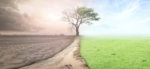 περιβαλλον