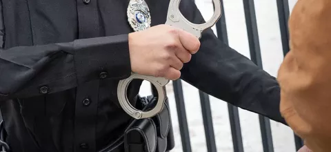 Sentry Handcuffs
