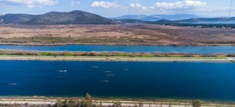 Πανελλήνιο Πρωτάθλημα στον Σχοινιά 