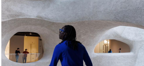 American Museum of Natural History