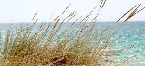 ταξιδιωτικών προορισμών