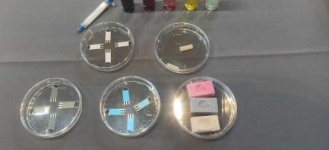 νανοσωματιδίων