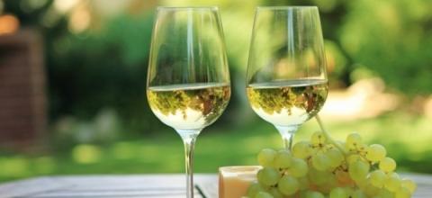 Οινοτουρισμού