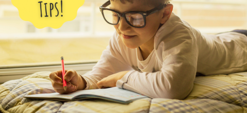 ελληνοαμερικανική ένωση