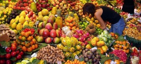 εξαγωγές φρούτων