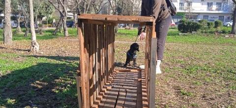 πάρκο σκύλων