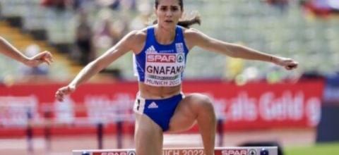 Γναφάκη_αΜΝΑ