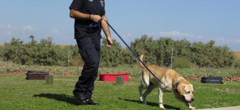 Το όνειρο ενός 8χρονου αγοριού που έδωσε γιλέκα προστασίας σε εκατοντάδες αστυνομικούς σκύλους 