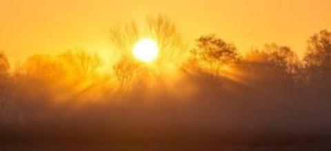 καυσονας_amna