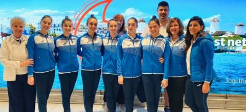 εθνική ανσάμπλ 