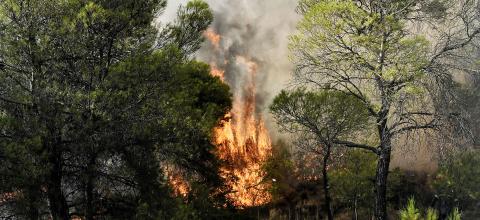 πυροσβεστικη