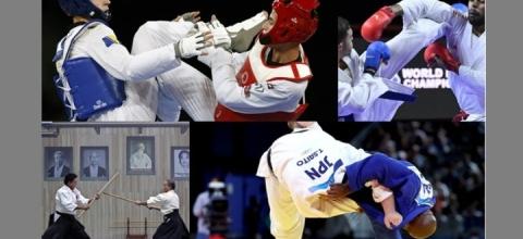 πολεμικεσ τεχνες