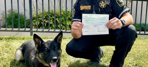 Tuscola County της πολιτείας Michigan, ο αστυνομικός σκύλος Belo