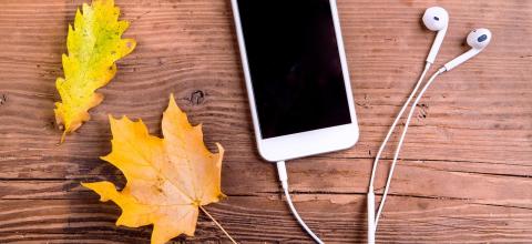 τηλεφωνο_pixabay