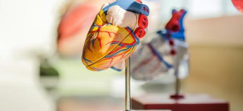 Η καθημερινή συνήθεια που γερνά την καρδιά σας πιο γρήγορα από το κάπνισμα