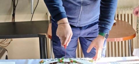 (ΤΕΦΚΚ Θεσσαλονίκης