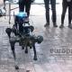 σκυλος ρομπότ
